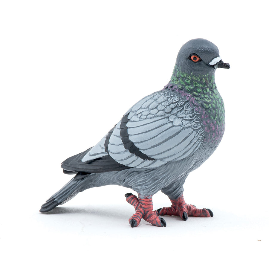 Figurine Pigeon Papo en PVC, thème oiseaux, Collection Animaux des jardins, jouet éducatif idéal pour enfants et collectionneurs