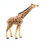 Figurine Girafe tête levée Papo en PVC, thème savane, Collection Animaux sauvages, jouet éducatif idéal pour enfants et collectionneurs