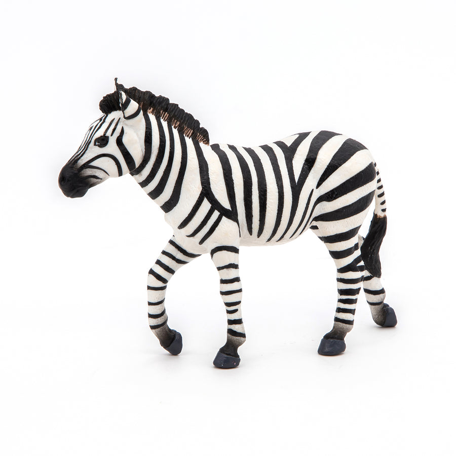 Figurine Zèbre mâle Papo en PVC, thème savane, Collection Animaux sauvages, jouet éducatif idéal pour enfants et collectionneurs