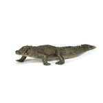 Figurine Alligator Papo en PVC, thème reptiles, Collection Animaux sauvages, jouet éducatif idéal pour enfants et collectionneurs