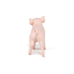 Cochonnet femelle Papo en PVC, Collection Vie à la ferme, jouet éducatif idéal pour enfants et collectionneurs