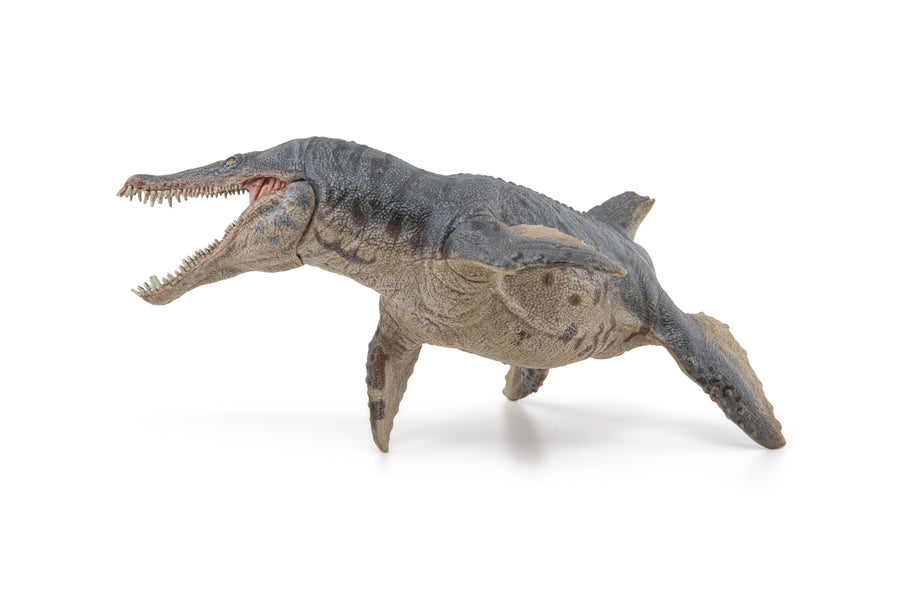 Kronosaurus Papo en PVC, Collection Dinosaures, jouet éducatif idéal pour enfants et collectionneurs