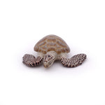 Tortue caouanne Papo en PVC, Collection animaux marins, jouet éducatif idéal pour enfants et collectionneurs
