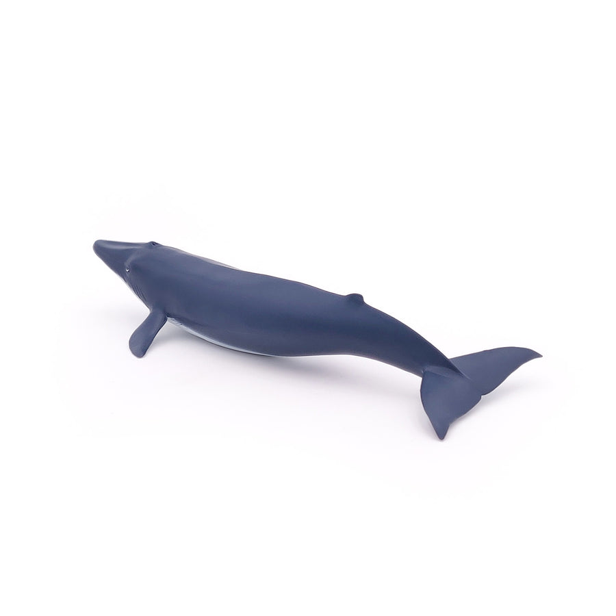 Figurine Bébé baleine bleue Papo en PVC, Collection animaux marins, jouet éducatif idéal pour enfants et collectionneurs